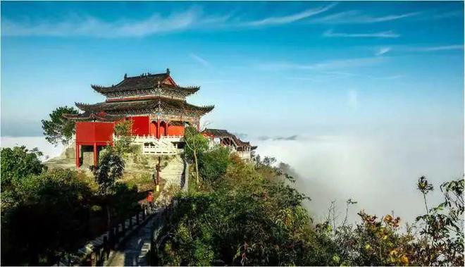 白河富硒茶价格