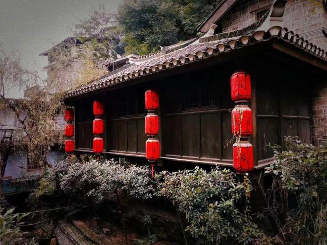 白河富硒茶价格