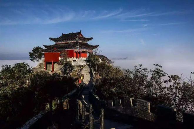 白河富硒茶价格
