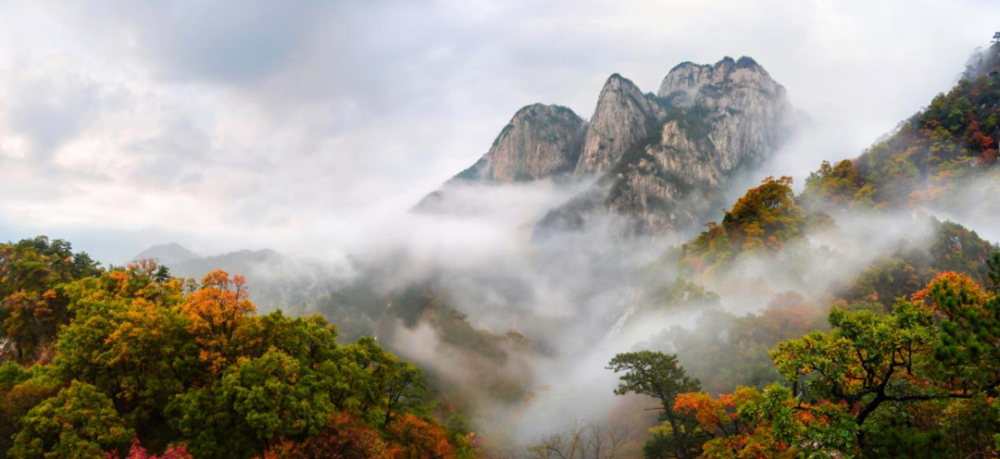池州石台富硒茶