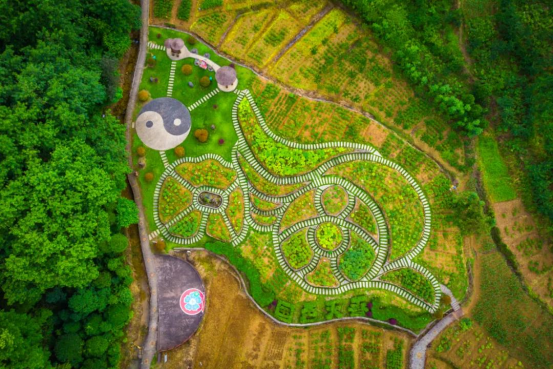 池州石台富硒茶