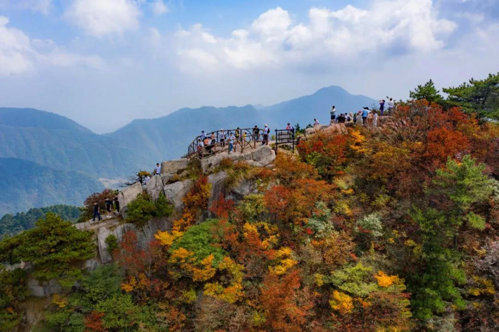 池州石台富硒茶