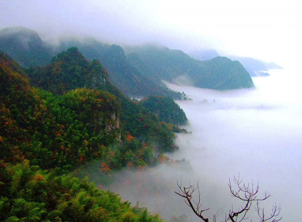 池州石台富硒茶