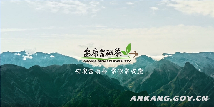 安康富硒茶产量