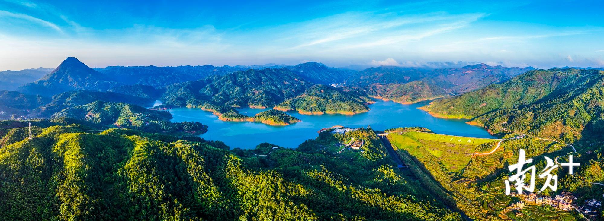 福建富硒乌龙茶