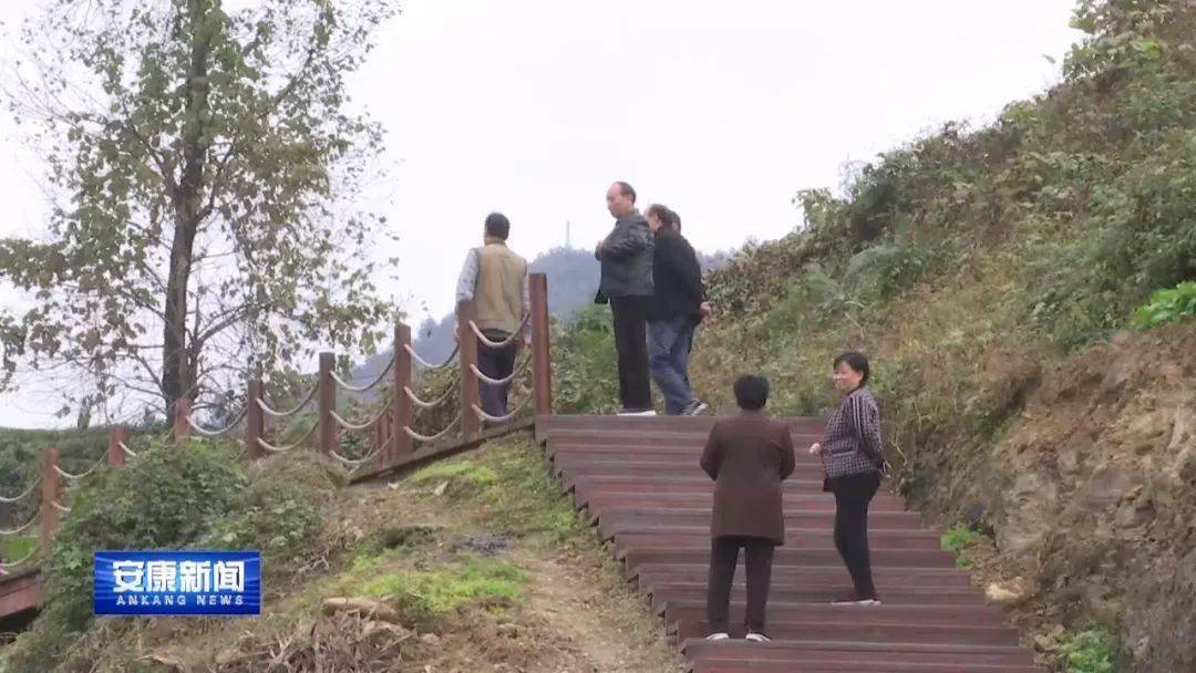 蒿坪富硒茶特点