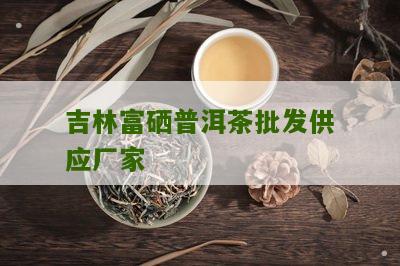 吉林富硒普洱茶批发供应厂家