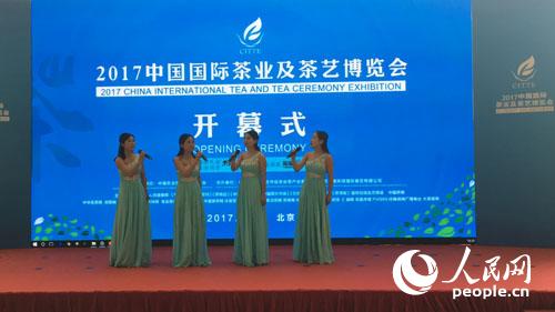 茶歌表演