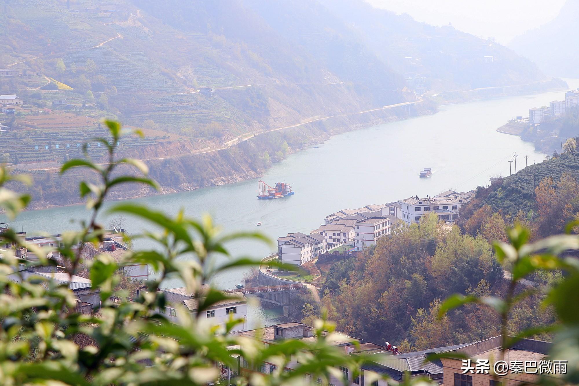 焕古紫阳富硒茶