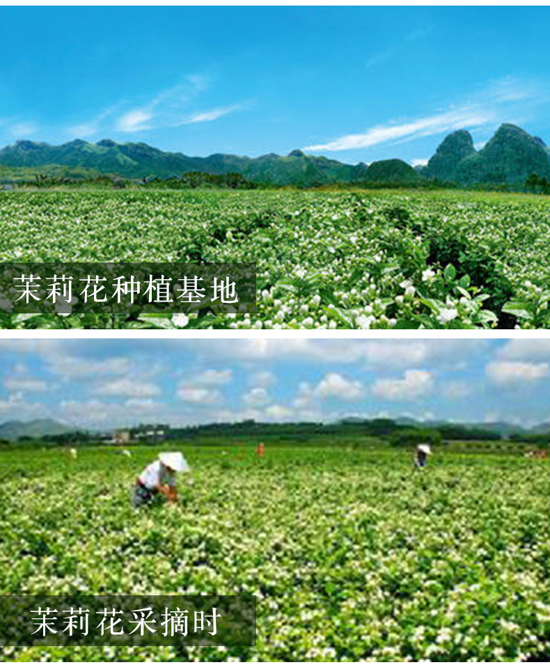 2021富硒茶