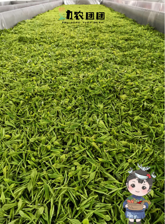 富硒茶硒量标准