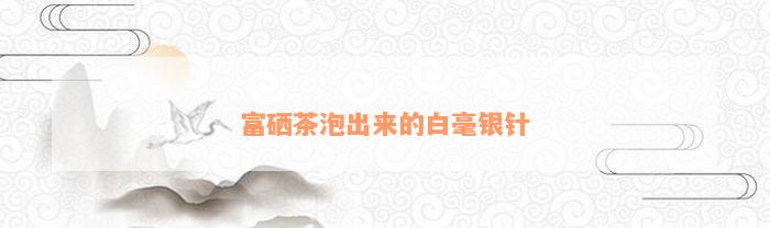 富硒茶泡出来的白毫银针