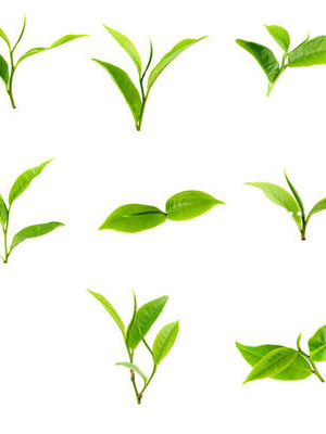富硒茶是什么茶茶叶包装系列名字