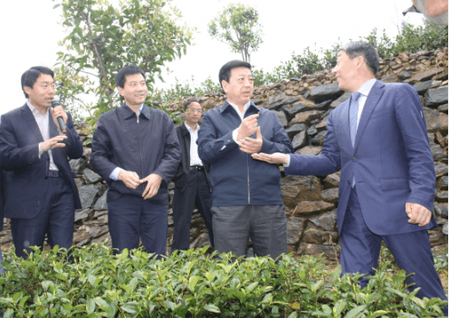 安康富硒茶优势