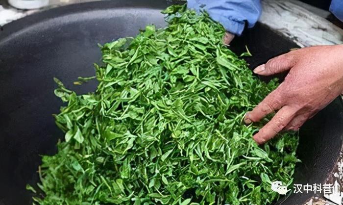 日照有机富硒茶