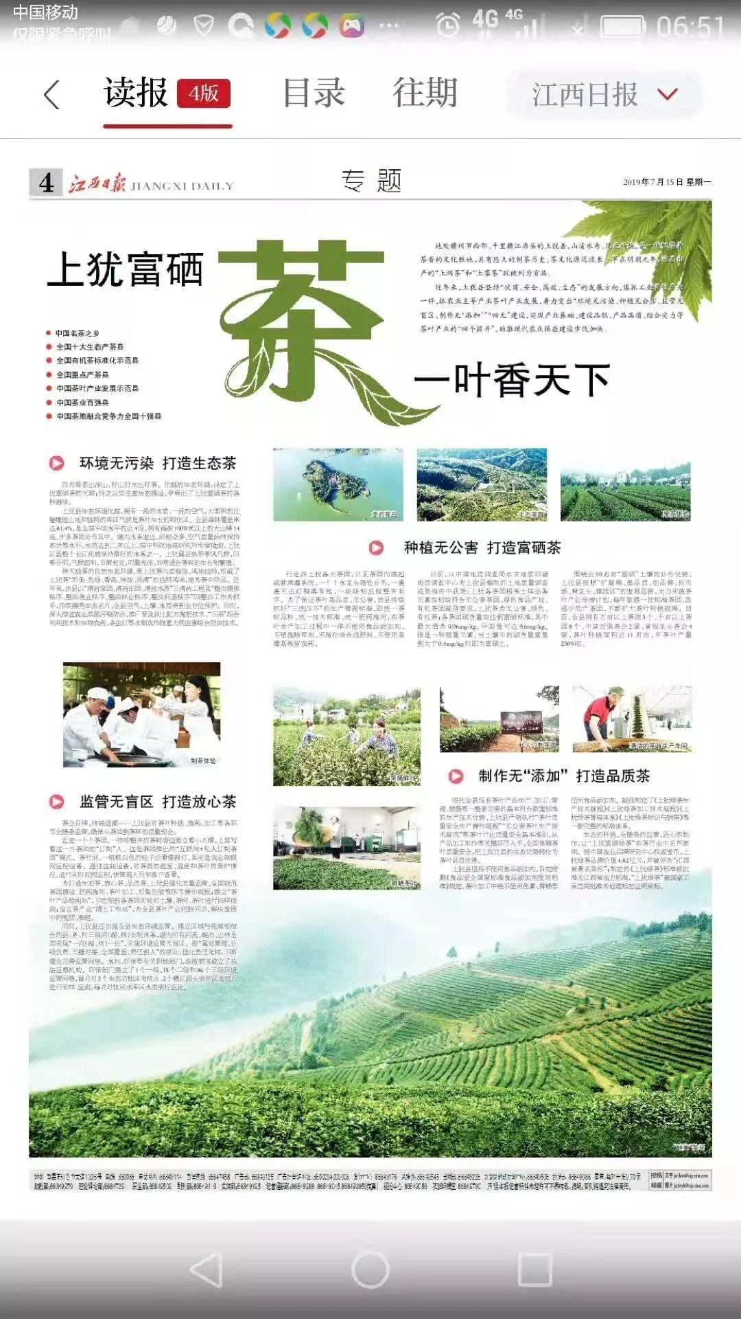 日照有机富硒茶
