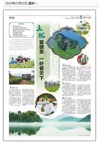 日照有机富硒茶