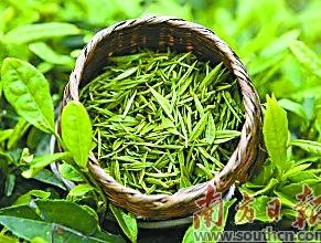 日照富硒茶价格