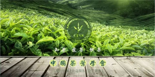 原始富硒手工茶