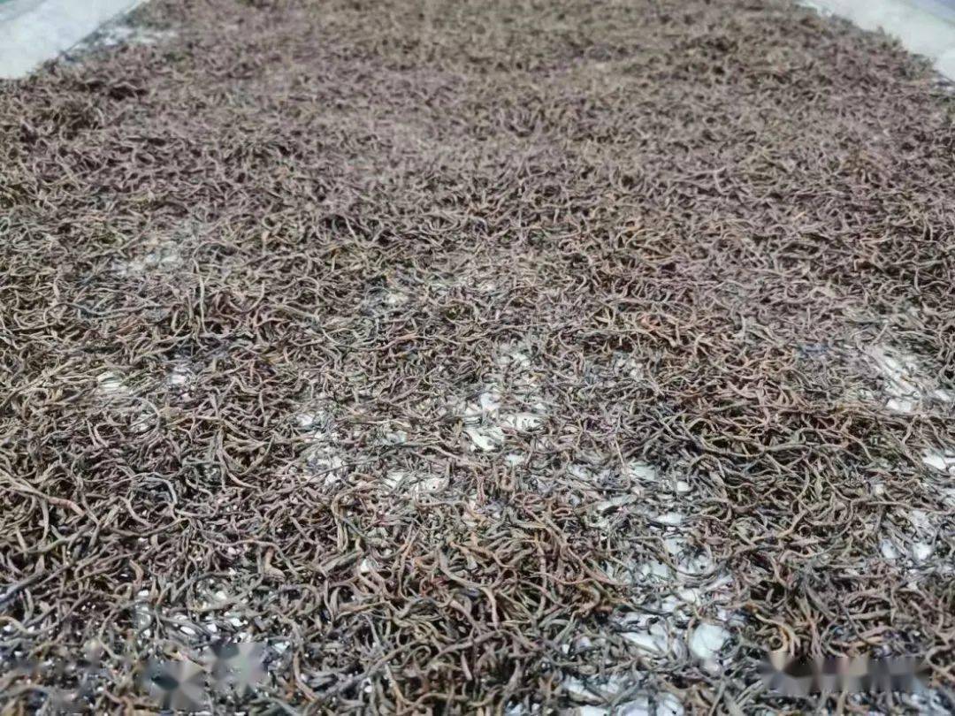 紫阳富硒茶机遇
