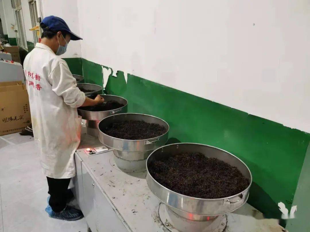 紫阳富硒茶机遇