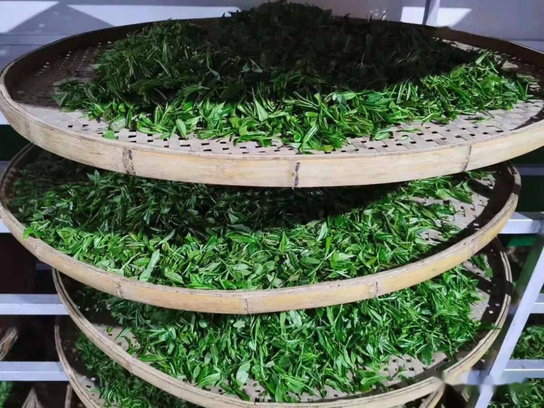 紫阳富硒茶机遇