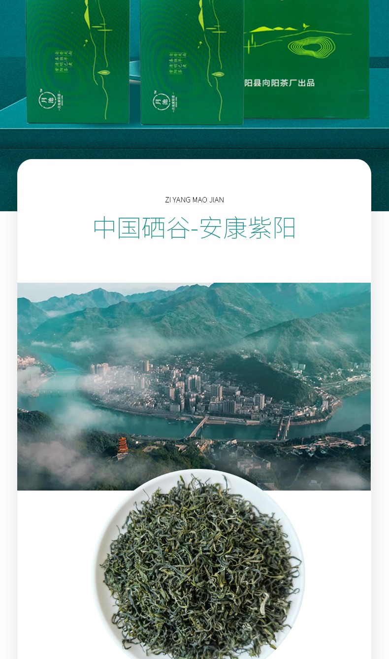 紫阳富硒茶机遇