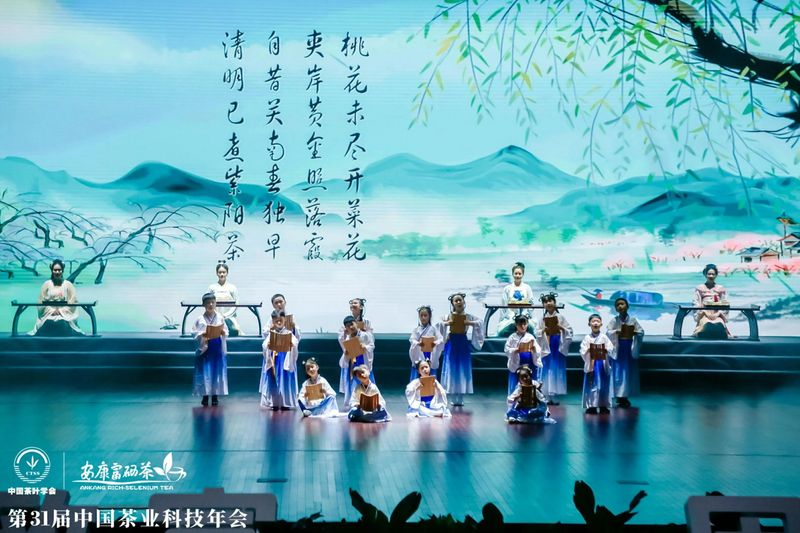 紫阳富硒茶展示