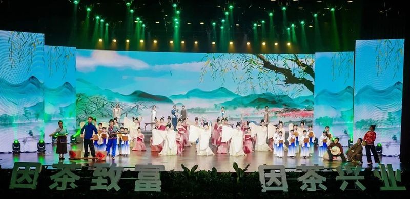 紫阳富硒茶展示