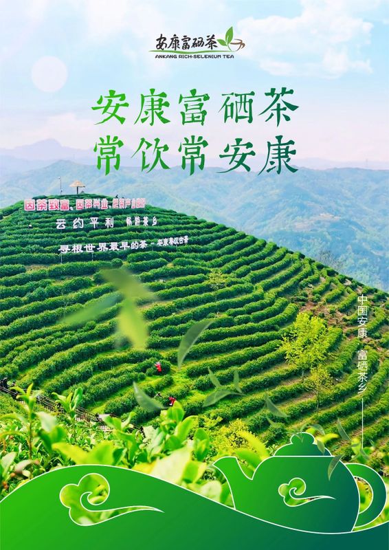 紫阳富硒茶展示