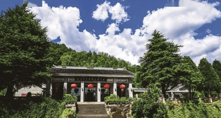达州富硒茶介绍