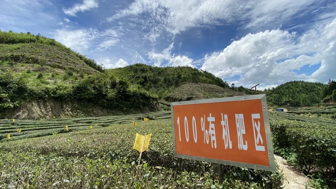 富硒茶品牌建设