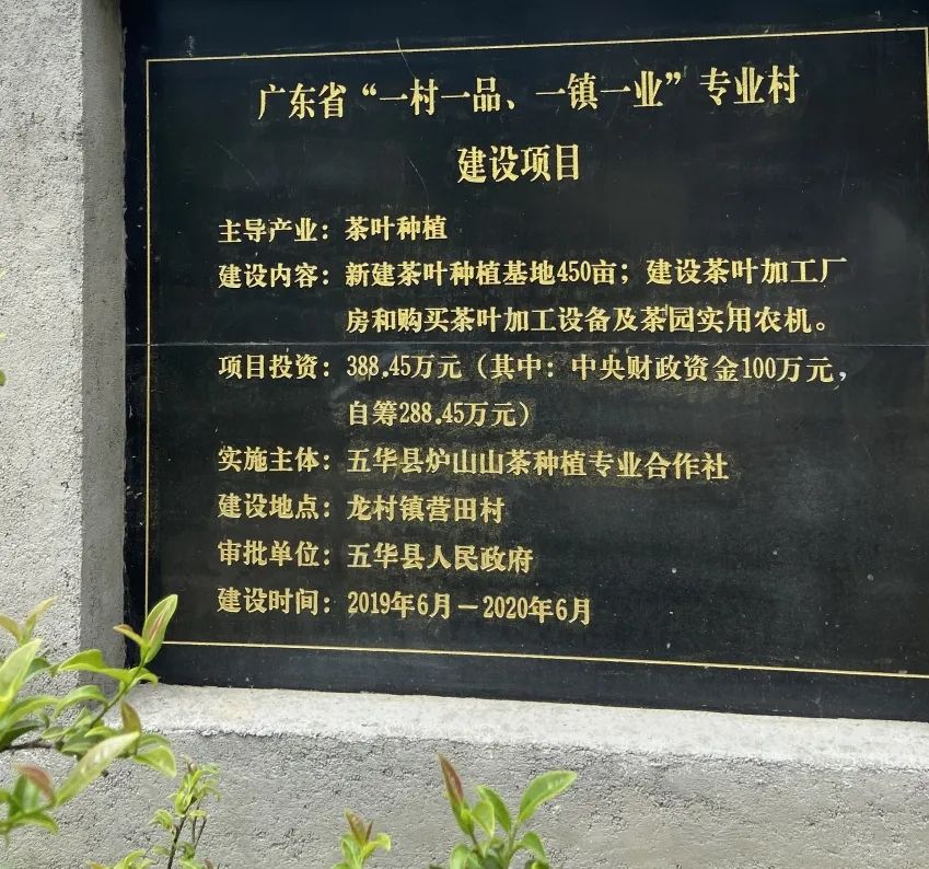 富硒茶品牌建设