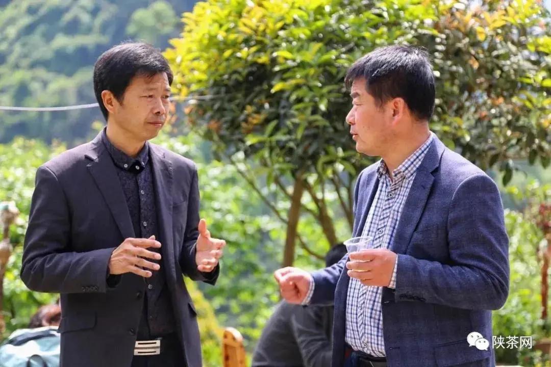 安康富硒茶品质