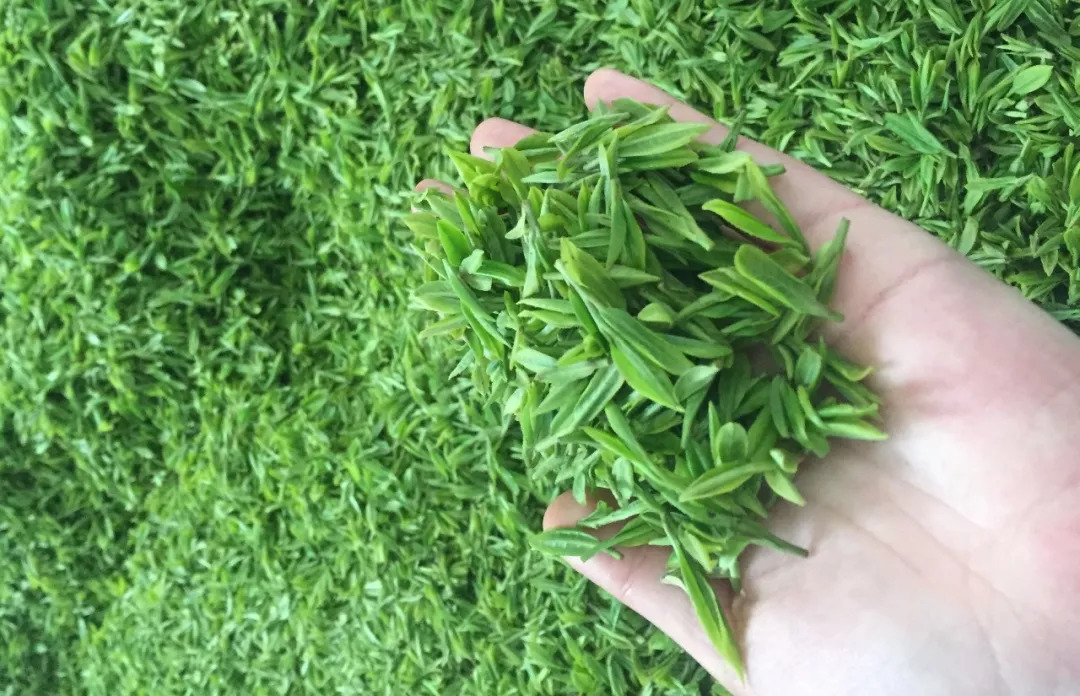 赞美恩施富硒茶