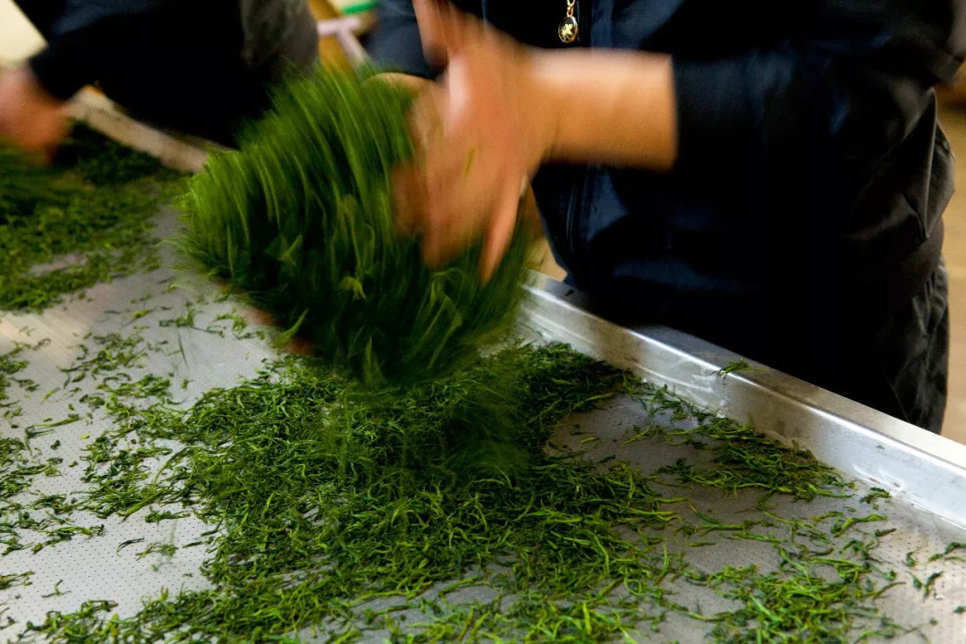 赞美恩施富硒茶