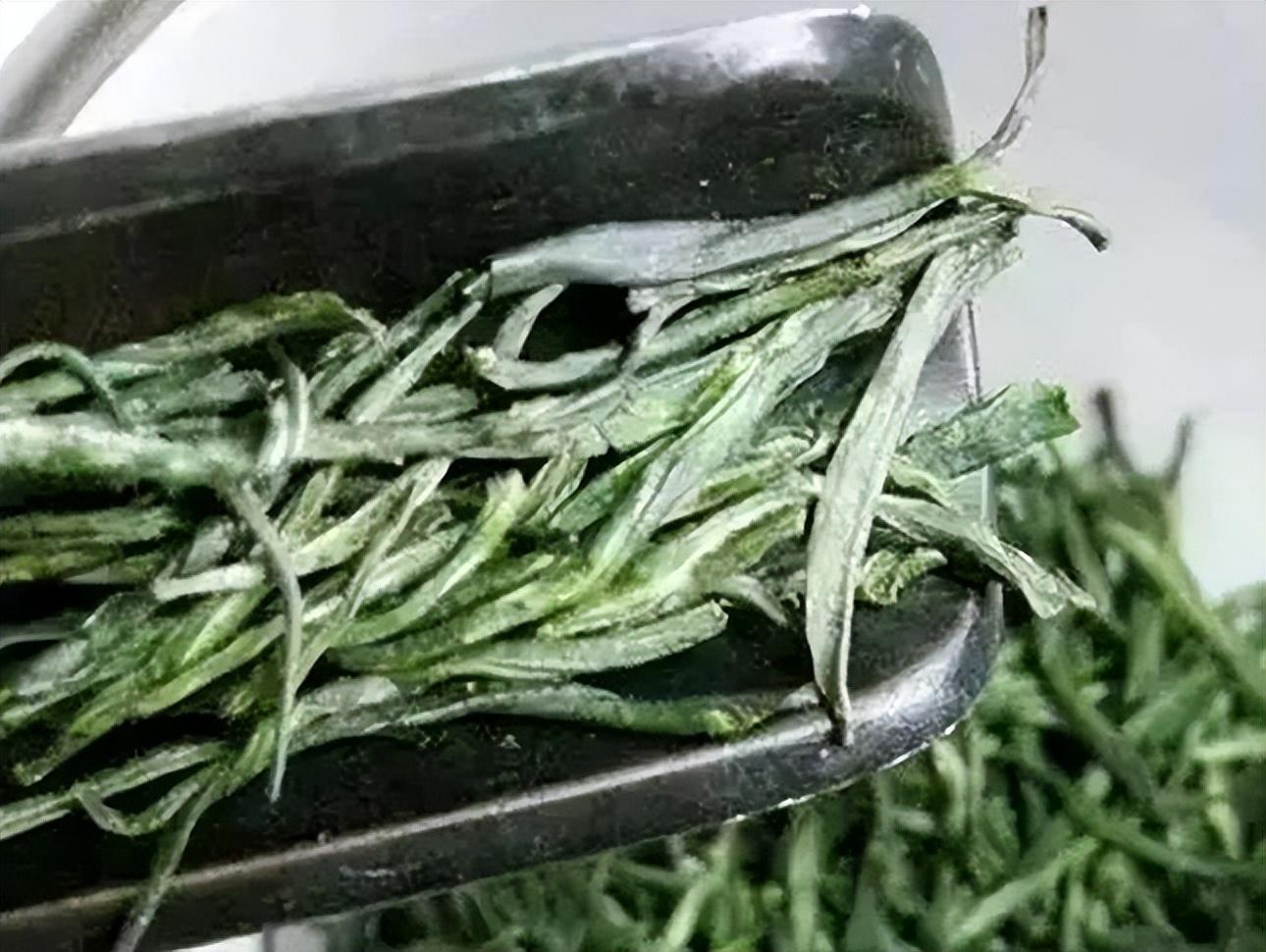 雨前恩施富硒茶