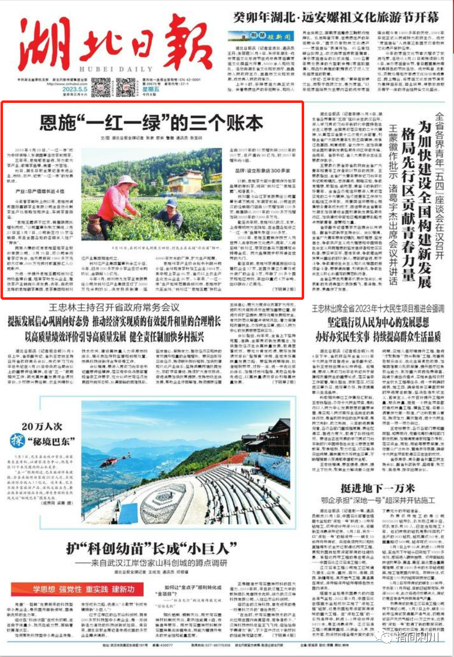 利川富硒茶品牌