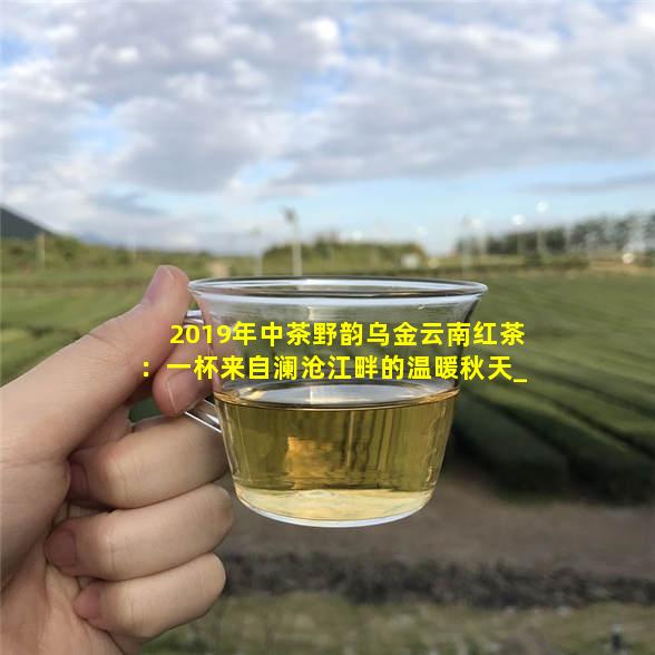 乌江富硒茶红茶