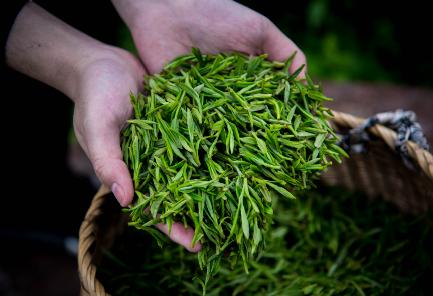 怎样辨别富硒茶