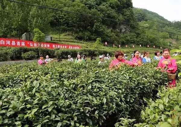 安康富硒茶劣势
