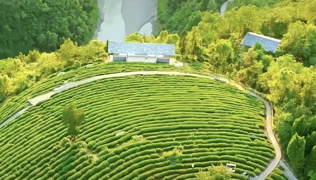 安康富硒茶礼盒