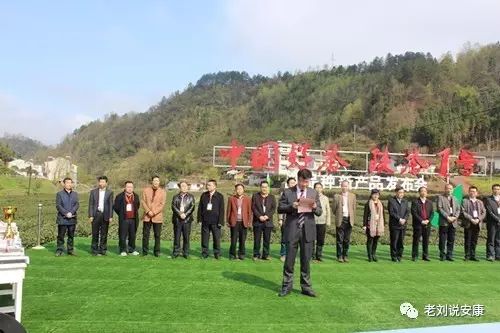安康富硒茶礼盒