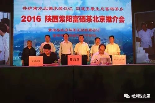安康富硒茶礼盒