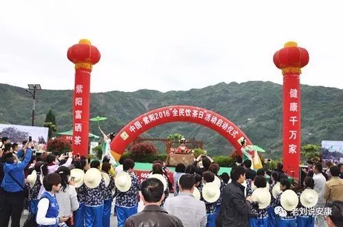 安康富硒茶礼盒