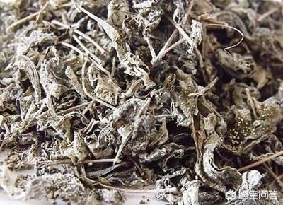恩施富硒野生茶