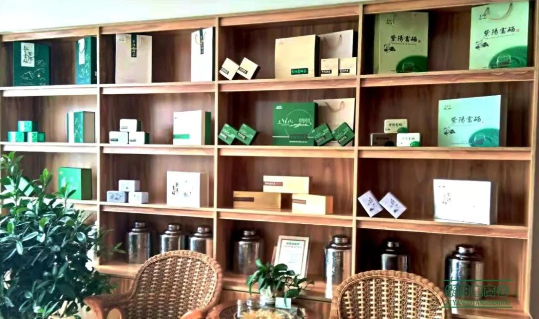 江苏富硒茶企业