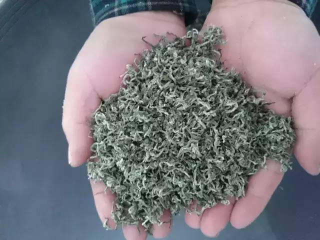 紫阳富硒茶北京