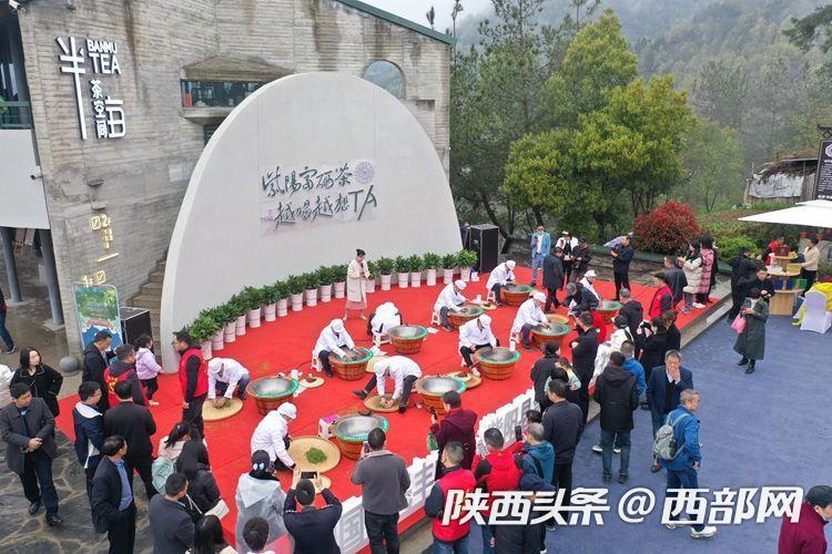 紫阳富硒茶赞助