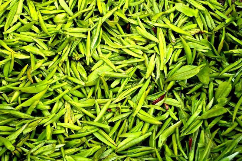 紫阳和平富硒茶